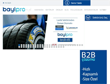 Tablet Screenshot of bayipro.net